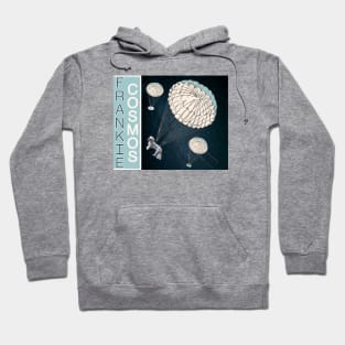 Frankie Cosmos Hoodie